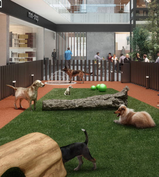 Pet Park - Ummi Roma